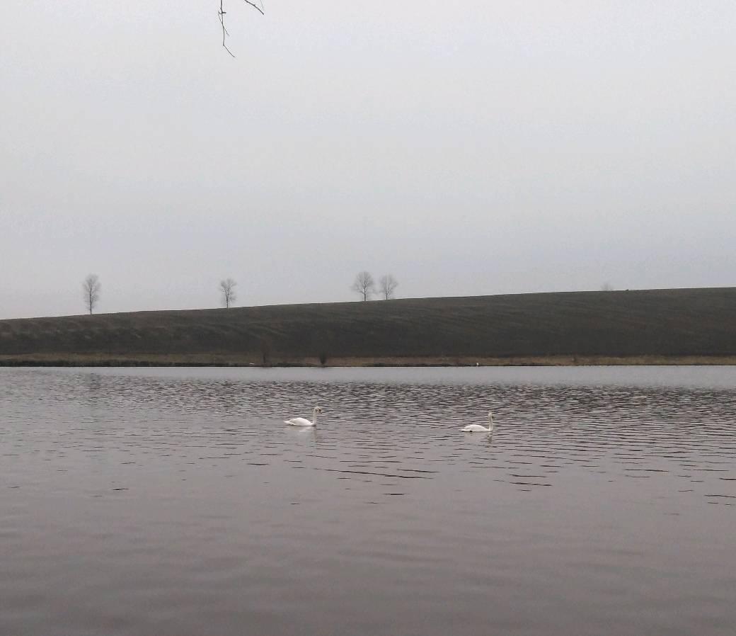 Greaca Cercani 1 ianuarie 2019 - 491472492137876389567120390248734333599744o.jpg